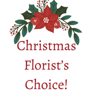 Christmas Florist's Choice